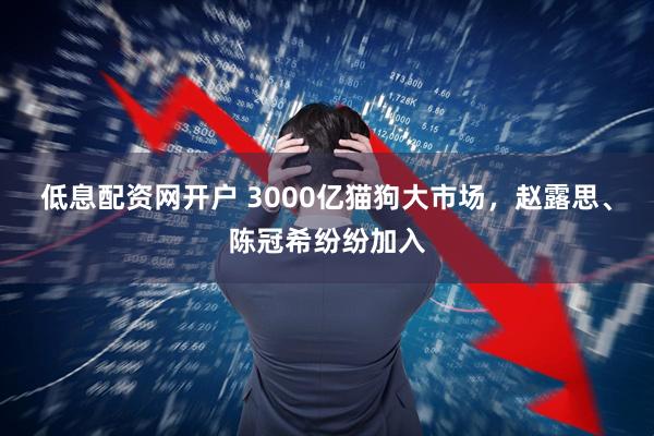 低息配资网开户 3000亿猫狗大市场，赵露思、陈冠希纷纷加入