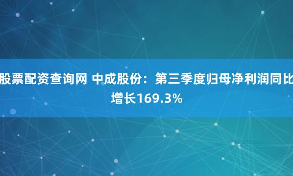 股票配资查询网 中成股份：第三季度归母净利润同比增长169.3%